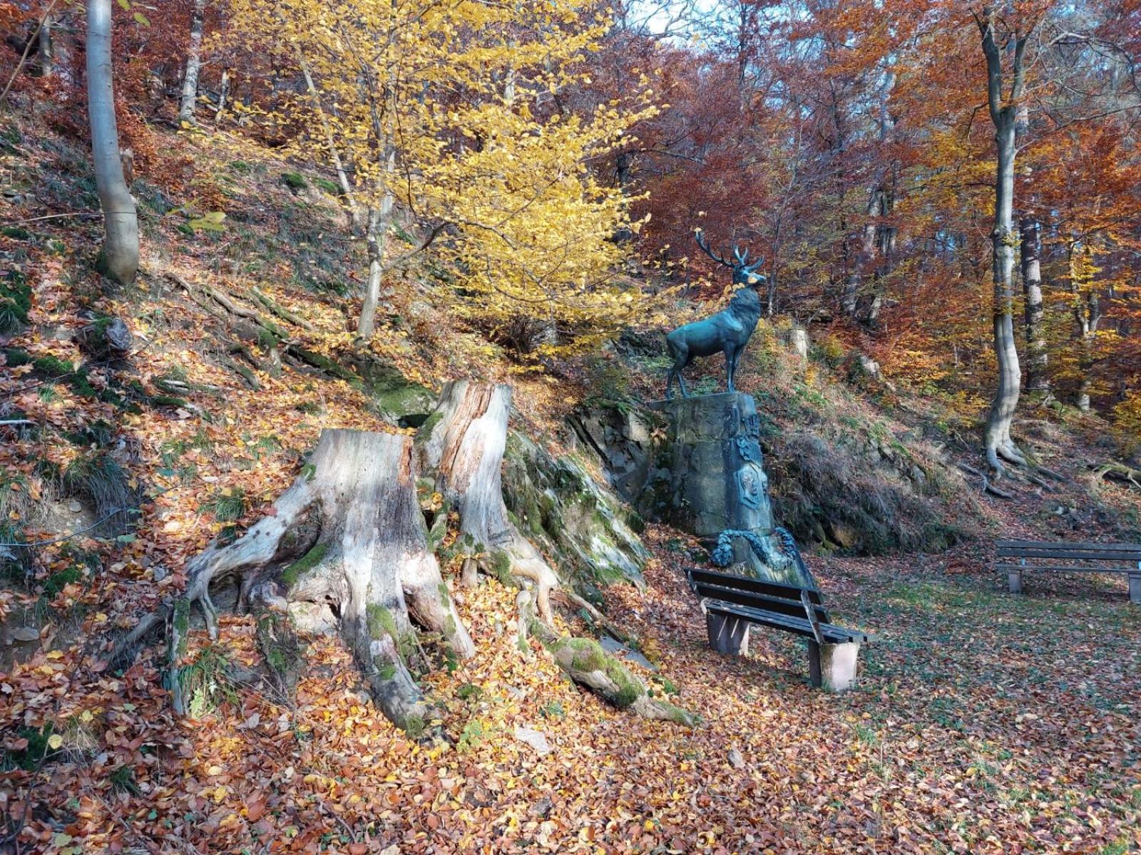 Haus Anastasia Stolberg i. Harz Extérieur photo